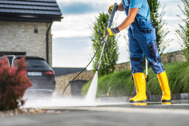 Animal Enclosure Cleaning in Plainview, NE